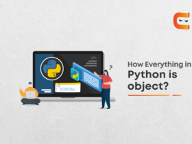 How everything in Python is an Object?