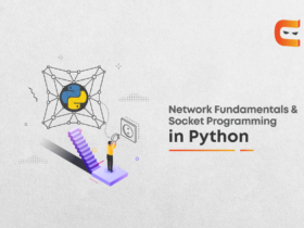 Network Fundamentals and socket Programming in Python