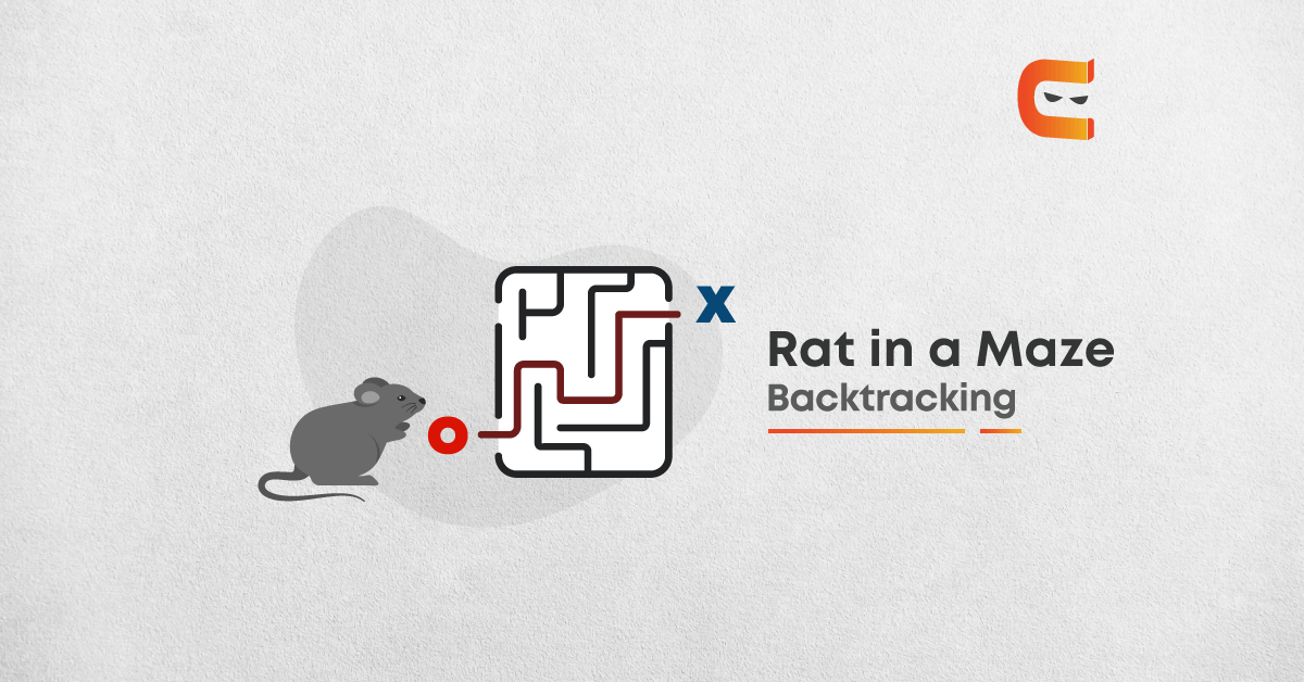 Backtracking: Rat in Maze