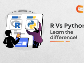 R Vs Python: What's The Difference?